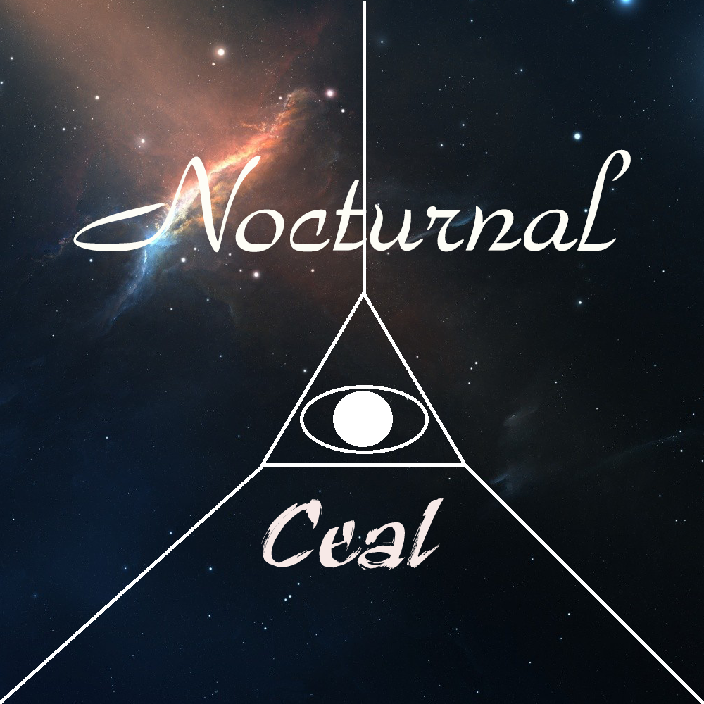 Nocturnal Original  Mix