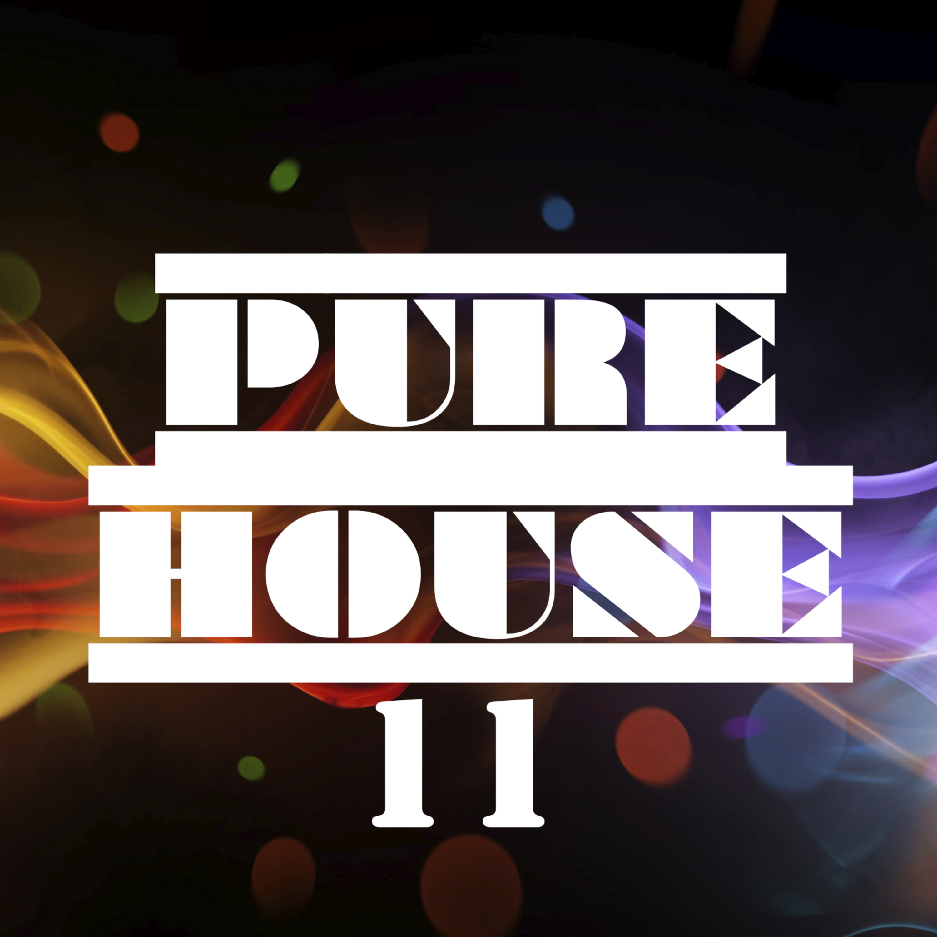 Pure House, Vol. 11