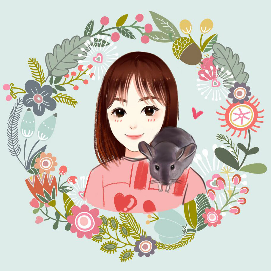 gang qin lian ming dai xing COVER zhang hui mei