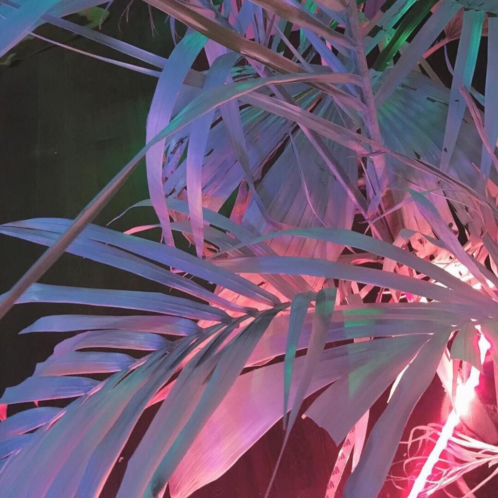 Wonso  Drop  it Voodoo remix