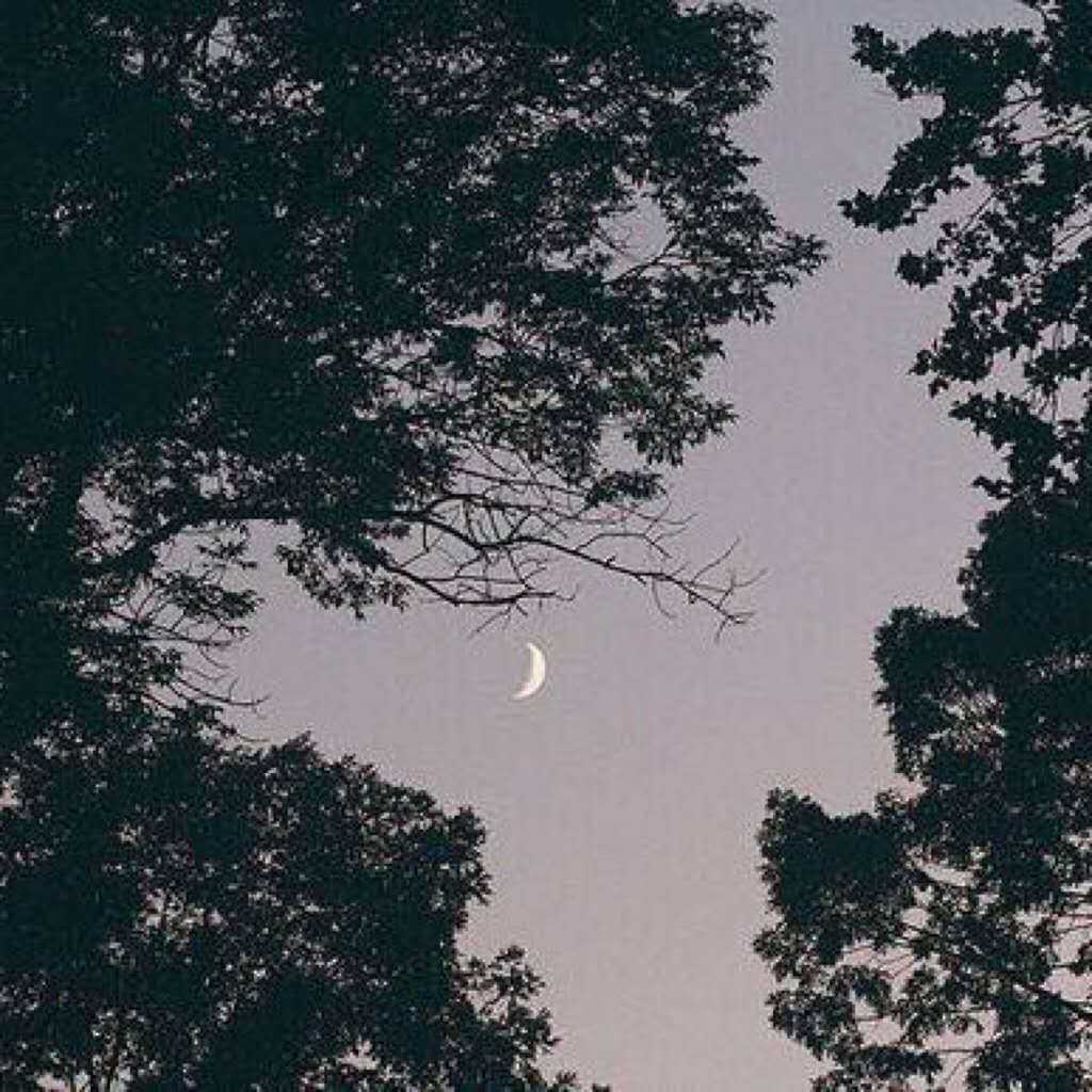 Need pay beat yue ban xiao ye qu