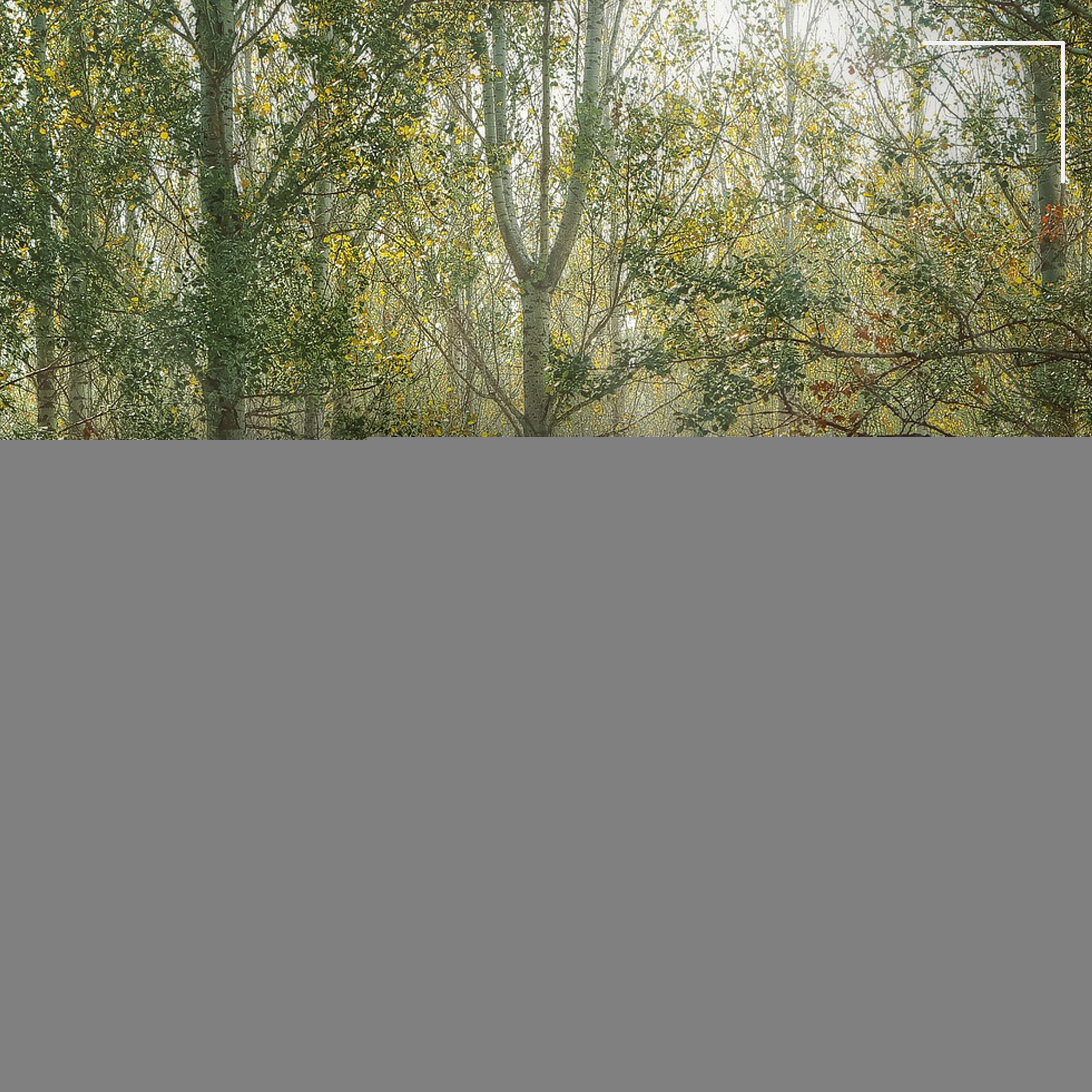 Kiss the Star (Egebjerg & Walk Remix)