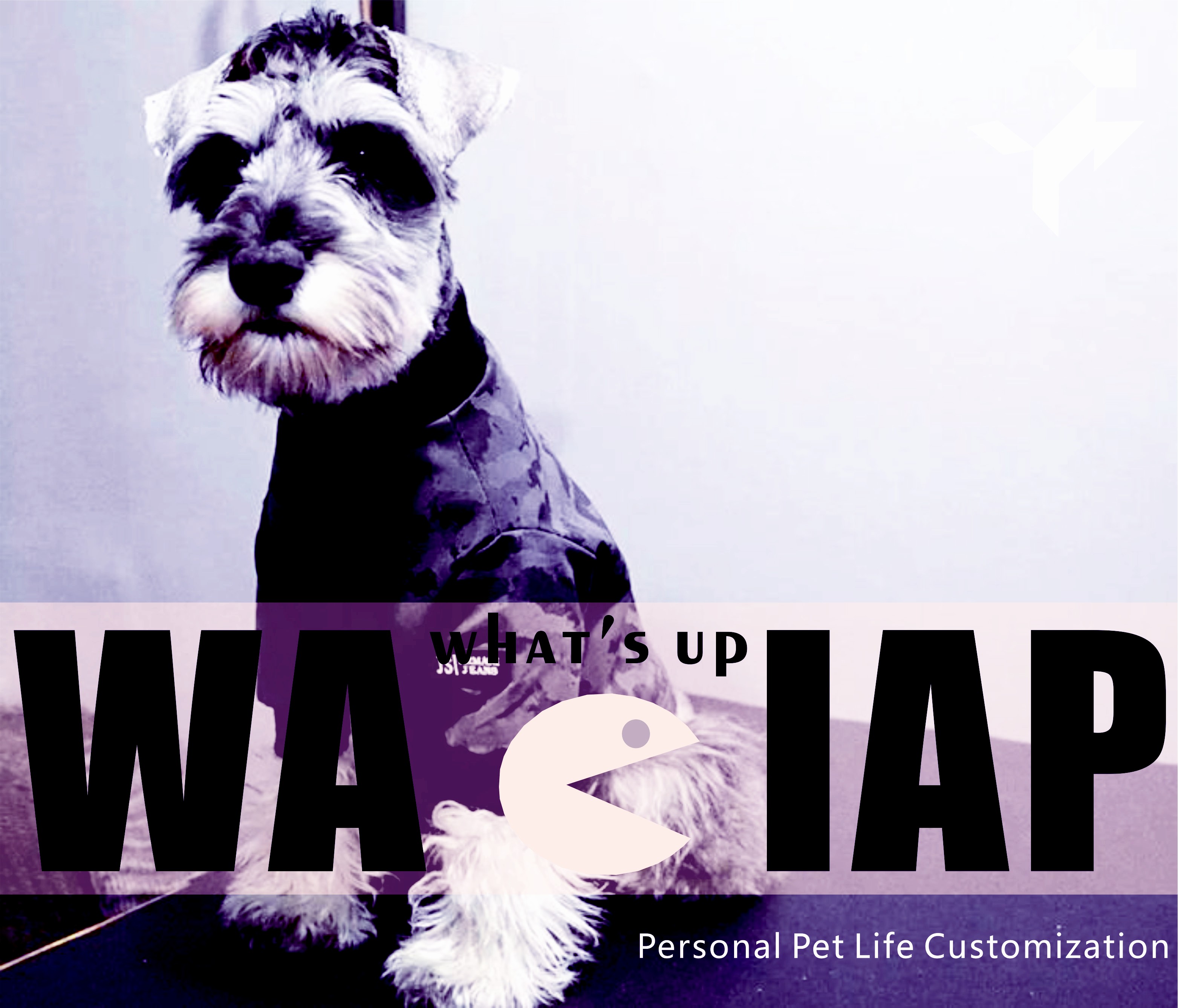 WACIAP WACIAP chong wu dian jiu ba tui guang qu