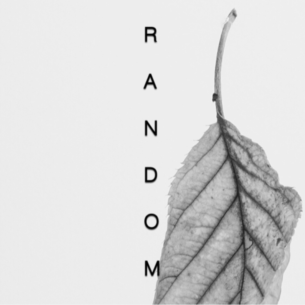 Random Touch sui xin chu dong