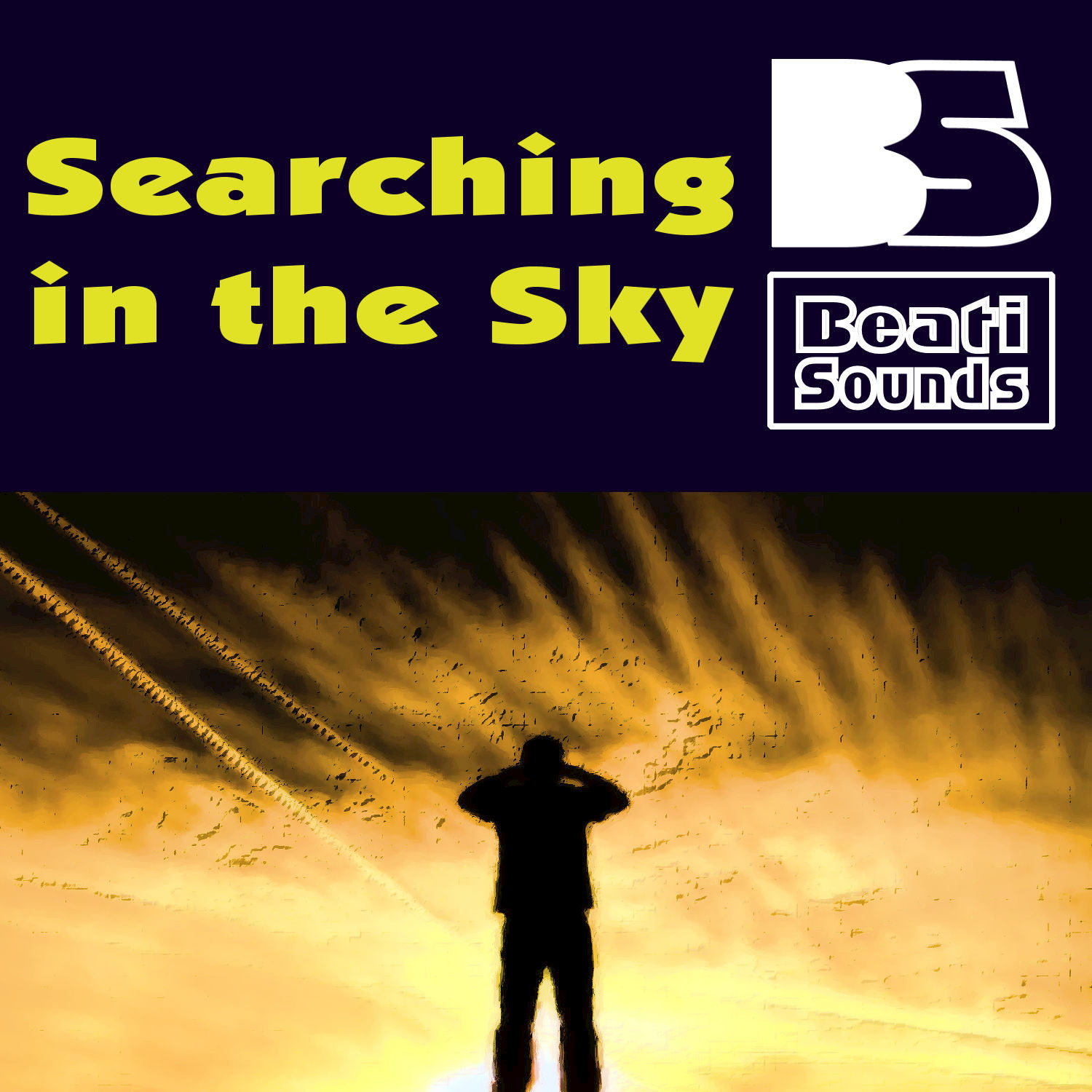 Searching in the Sky