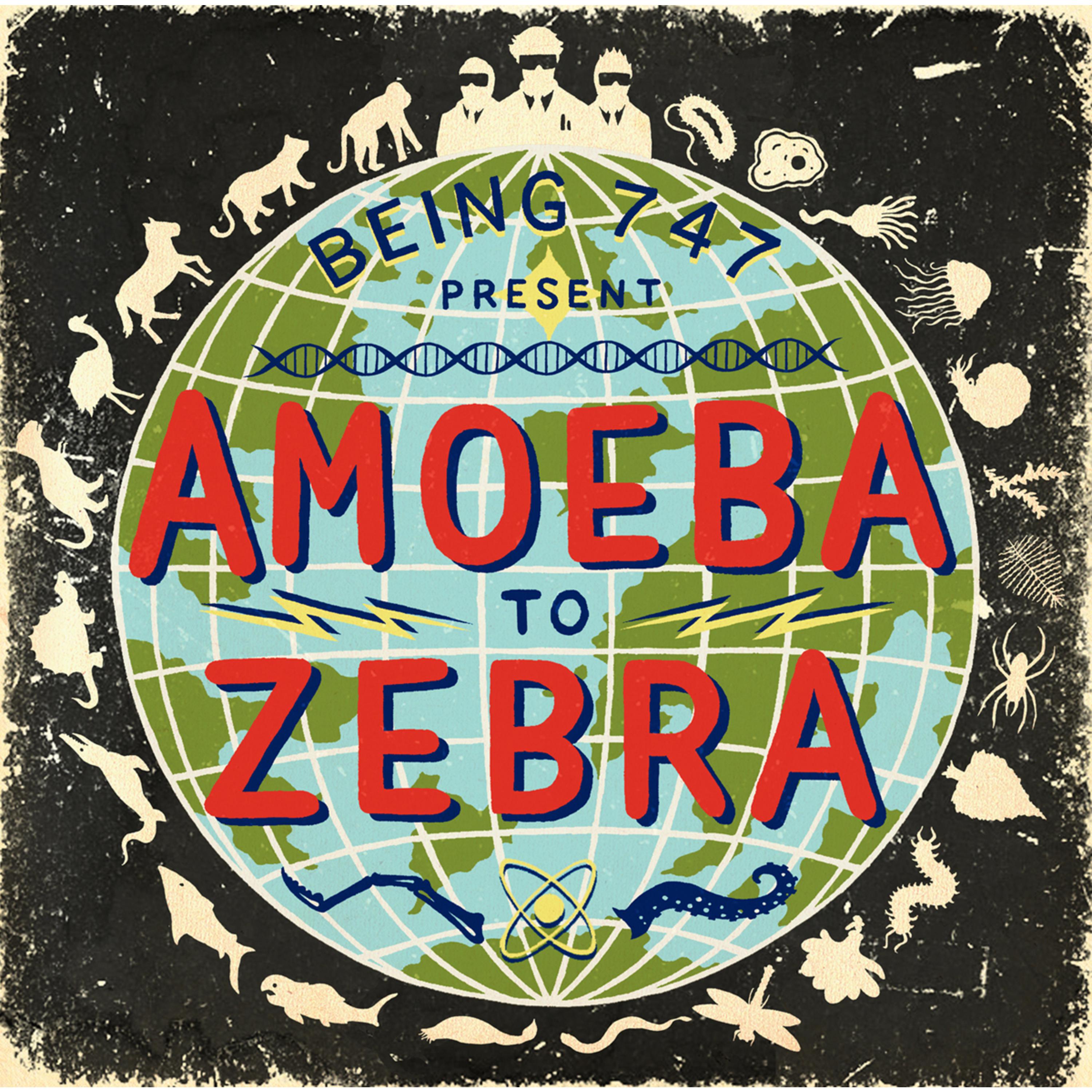 Amoeba To Zebra
