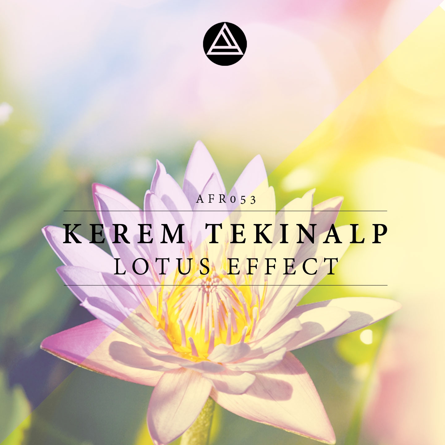 Lotus Effect