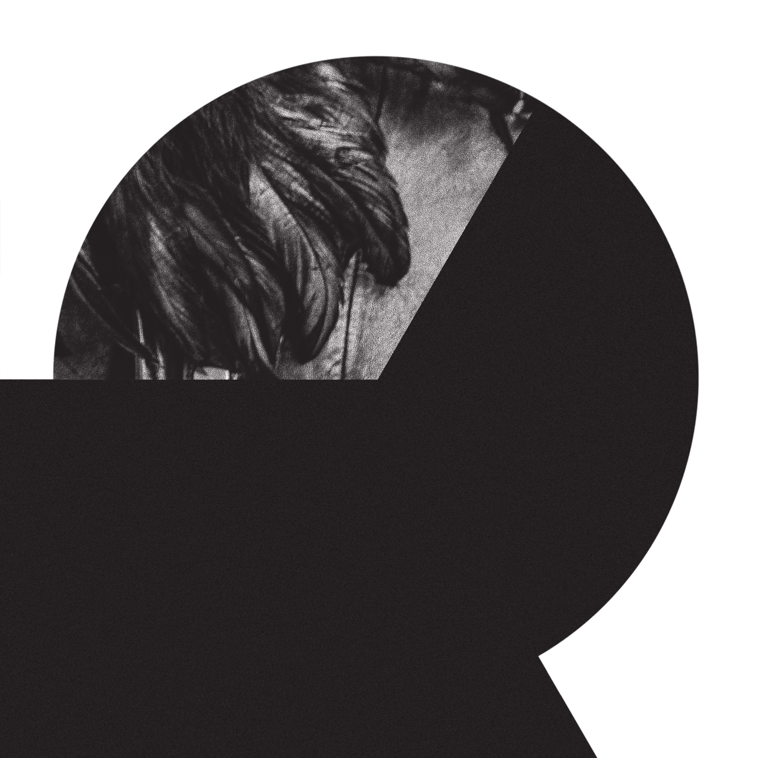 Sang des betes / Affaire des rats