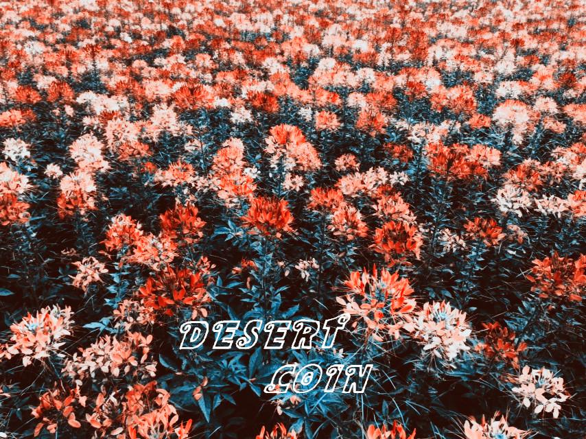 mei shi Prod by Jay D