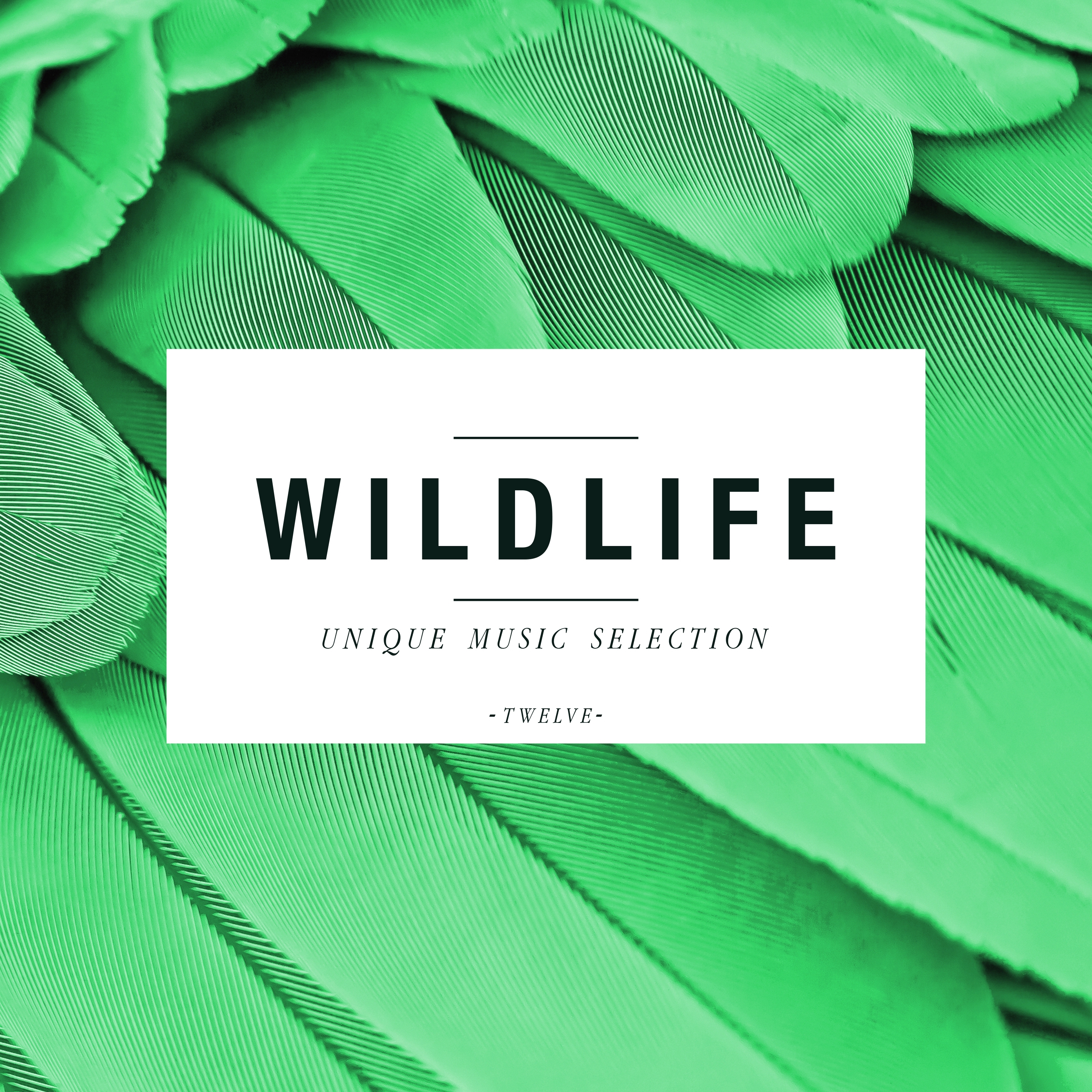 Wildlife - Unique Music Selection, Vol. 12