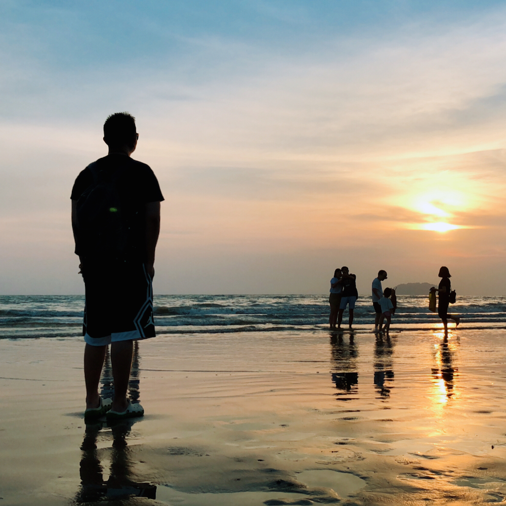 ping fan zhi lu Cover: pu shu