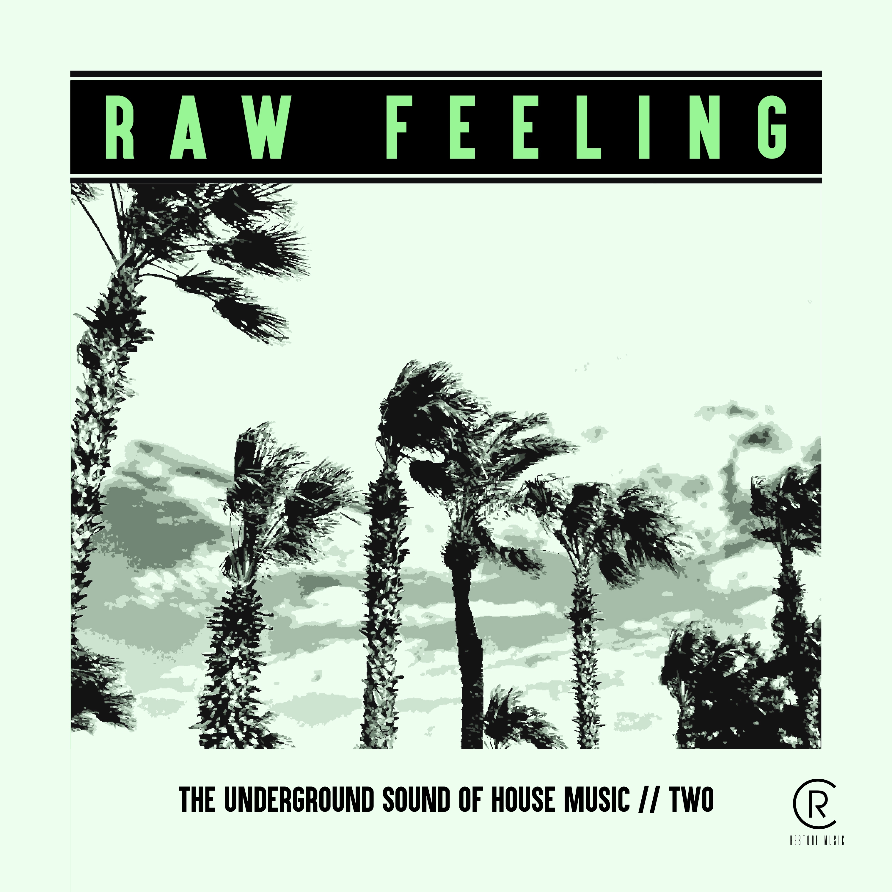 Raw Feeling - The Underground Sound of House Music, Vol. 2