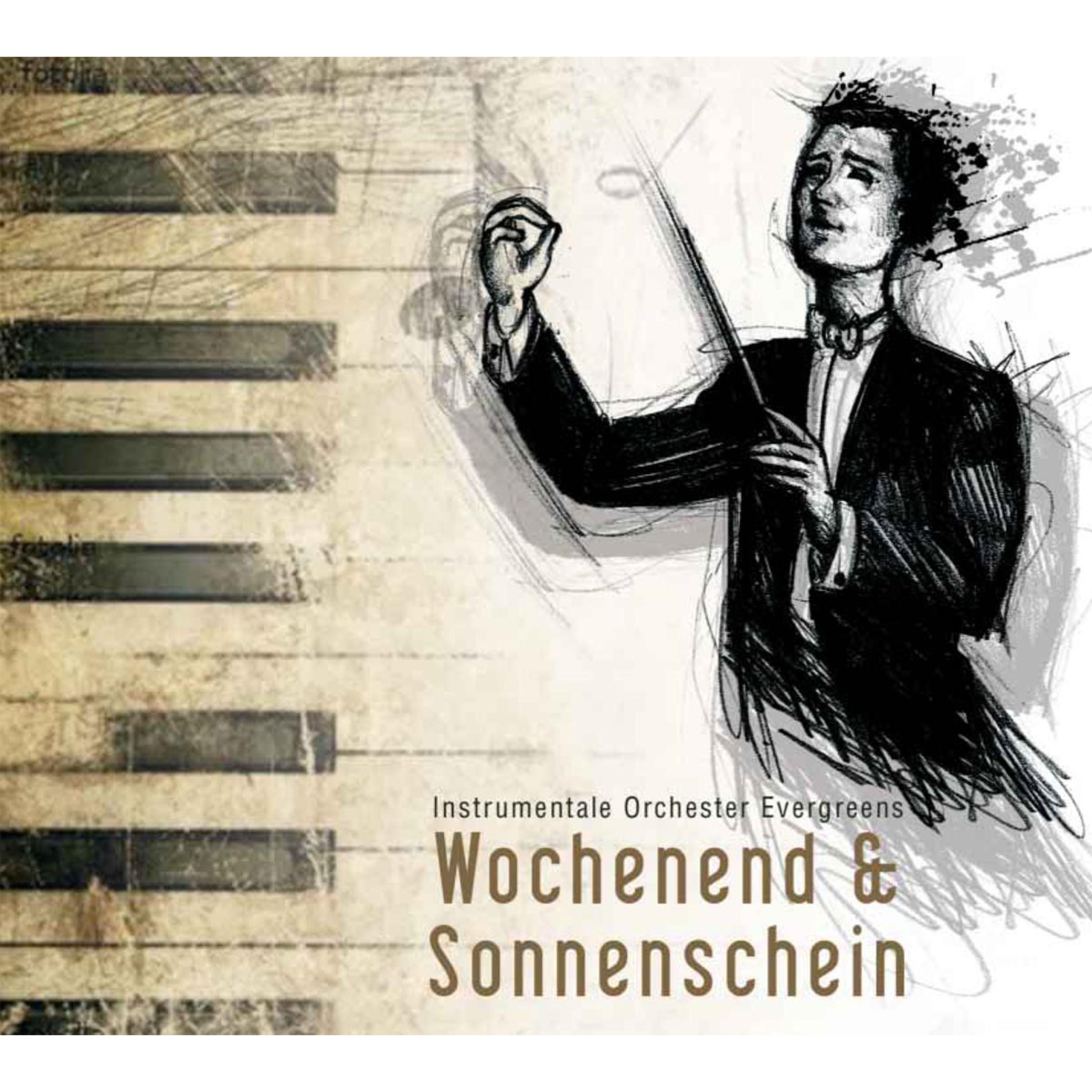 Wochenend und Sonnenschein - instrumentale Orchester Evergreens