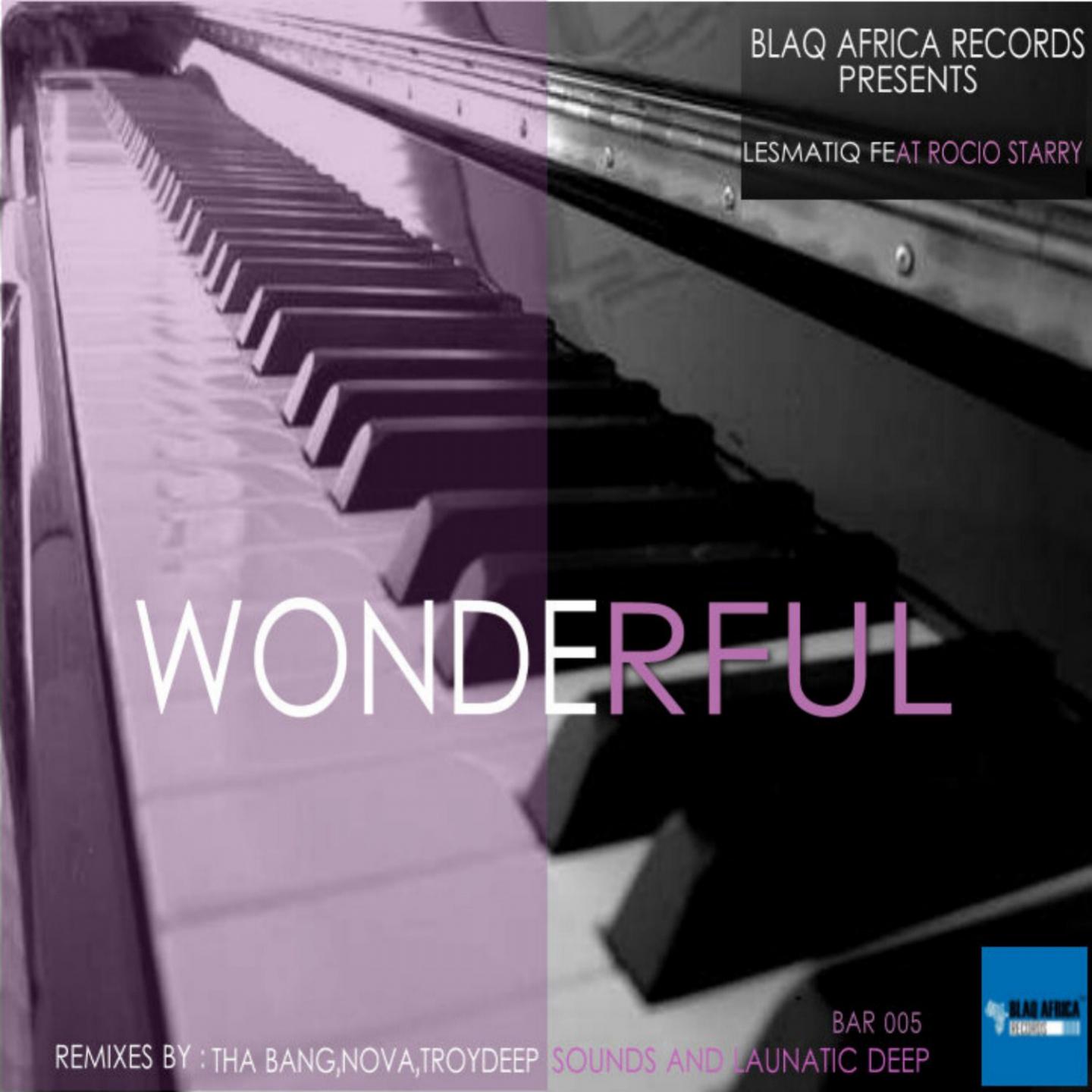 Wonderful (Vocal Mix)