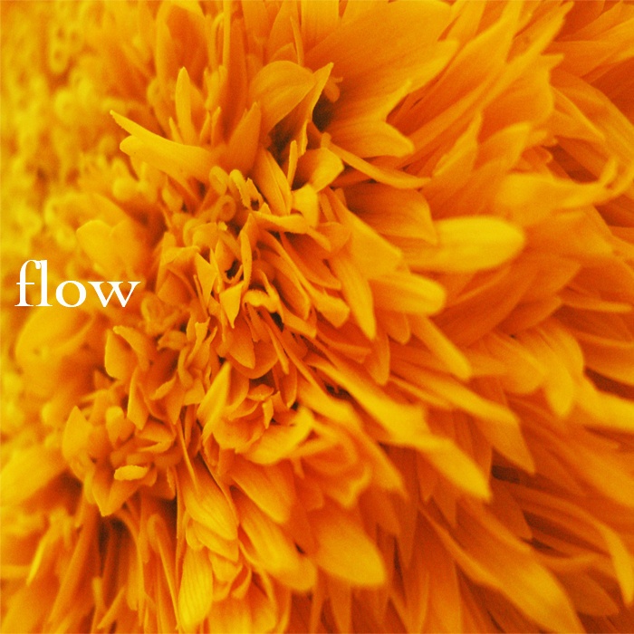 To unknown landscape