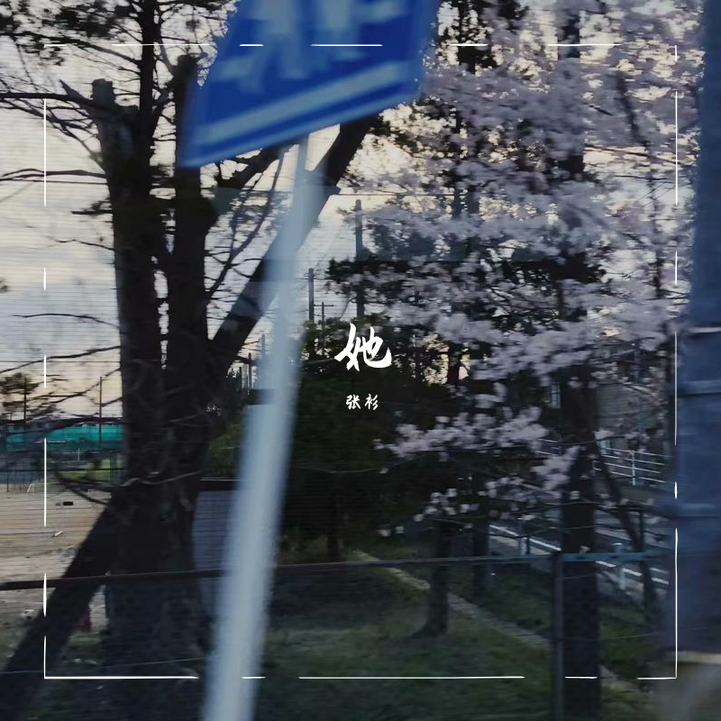 zhi gei ni ting de qing ge