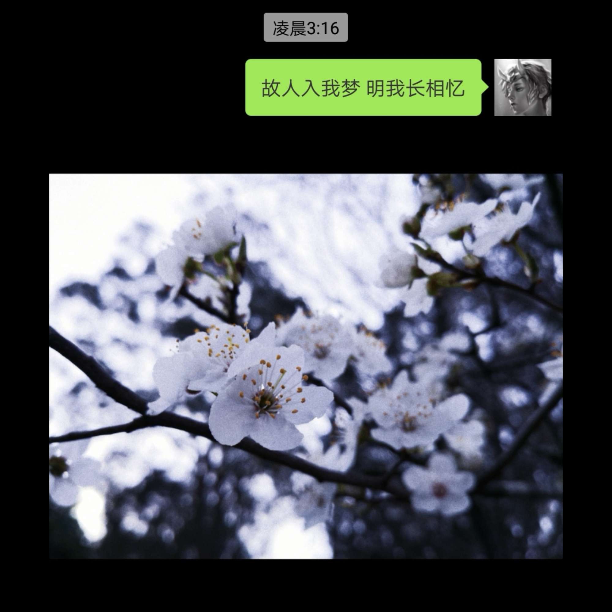 ru meng Cover: xiao shi