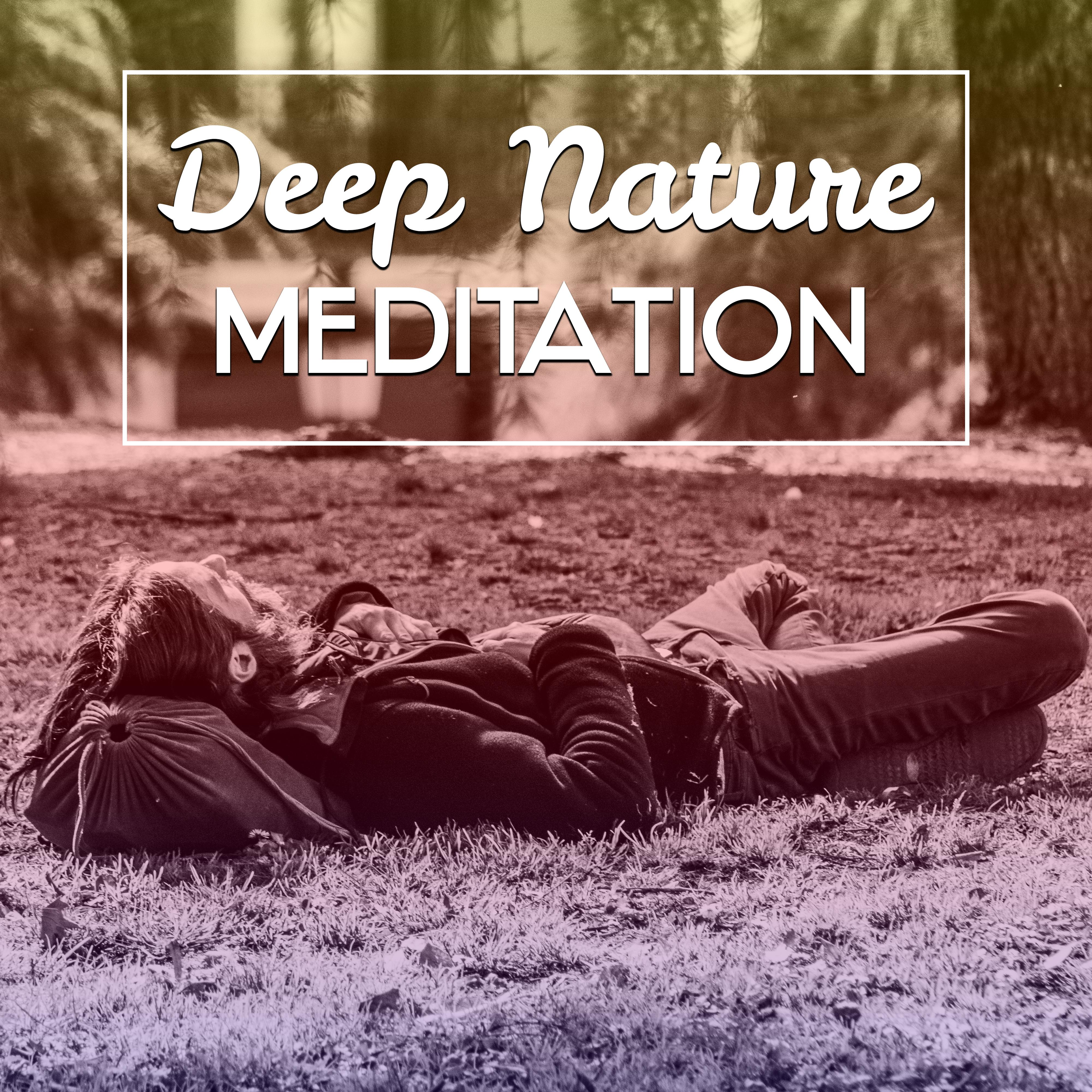 Deep Nature Meditation  Ocean, Birds, Yoga, Music for Deep Meditatdion