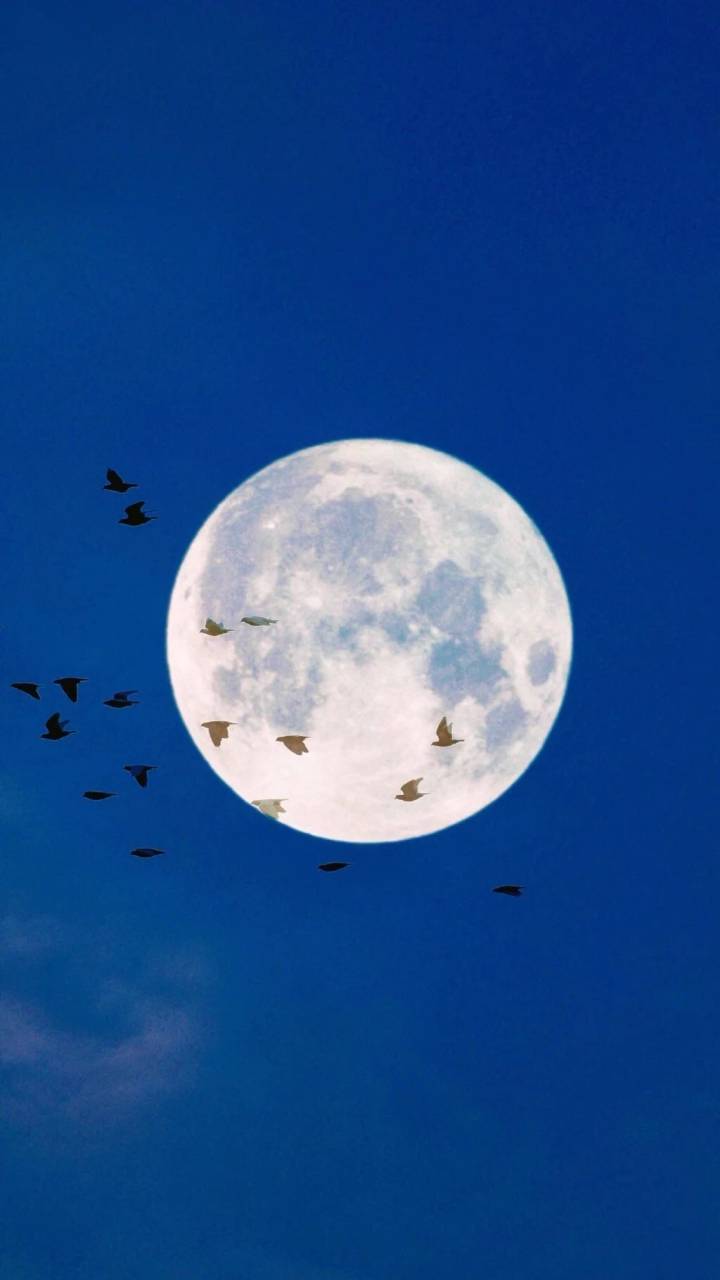 Nieuw licht over de aarde