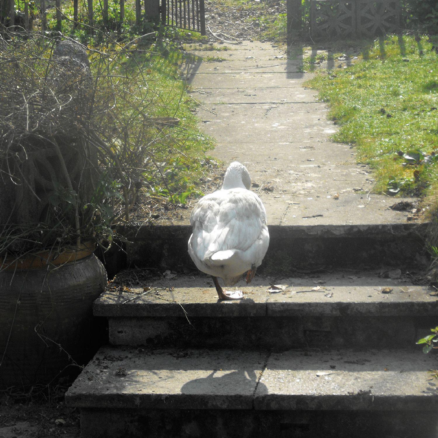 The Slowdown: Epilogue