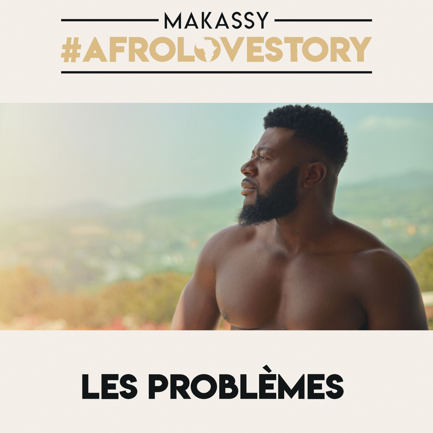 Les proble mes Afrolovestory