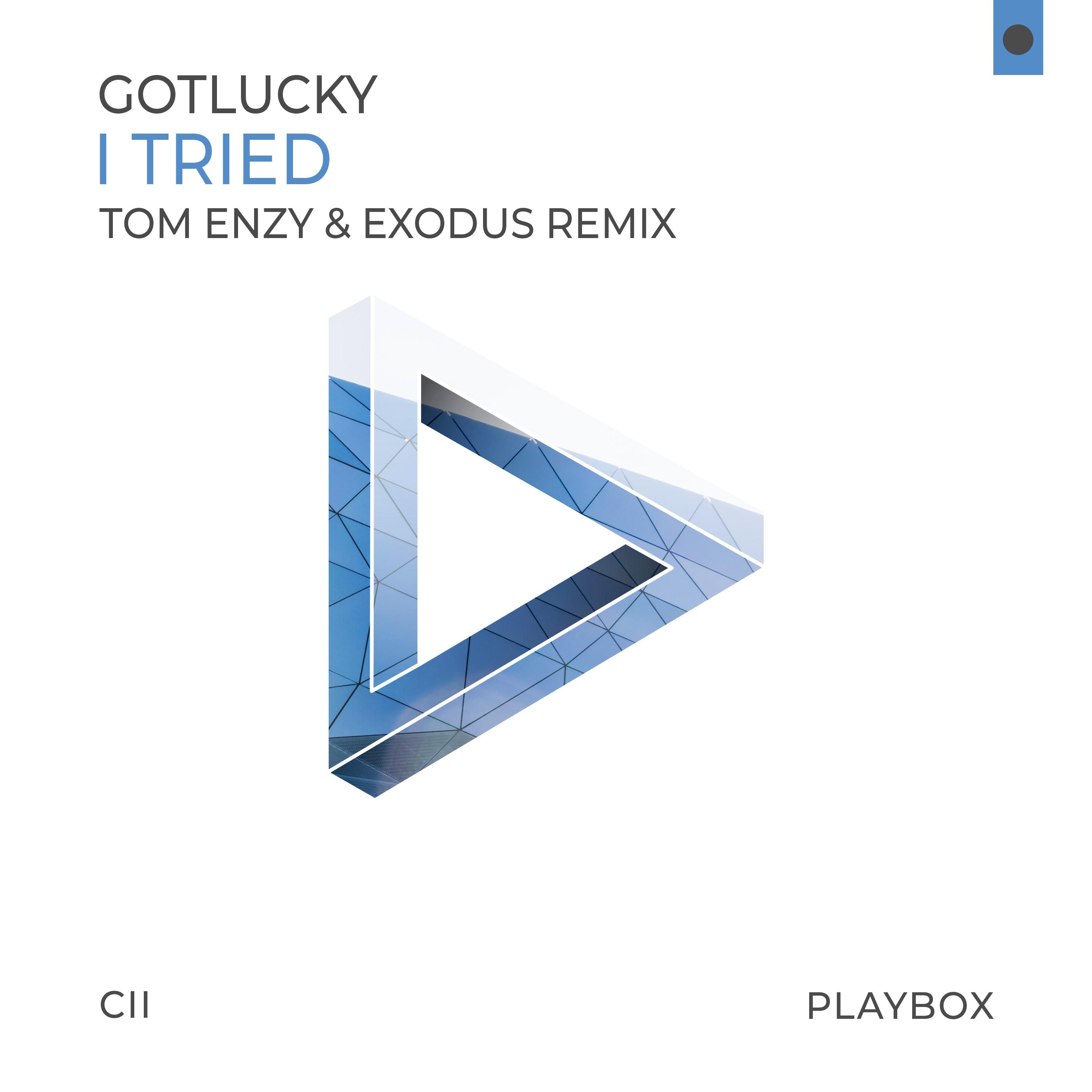 I Tried (Tom Enzy & Exodus Radio Edit)