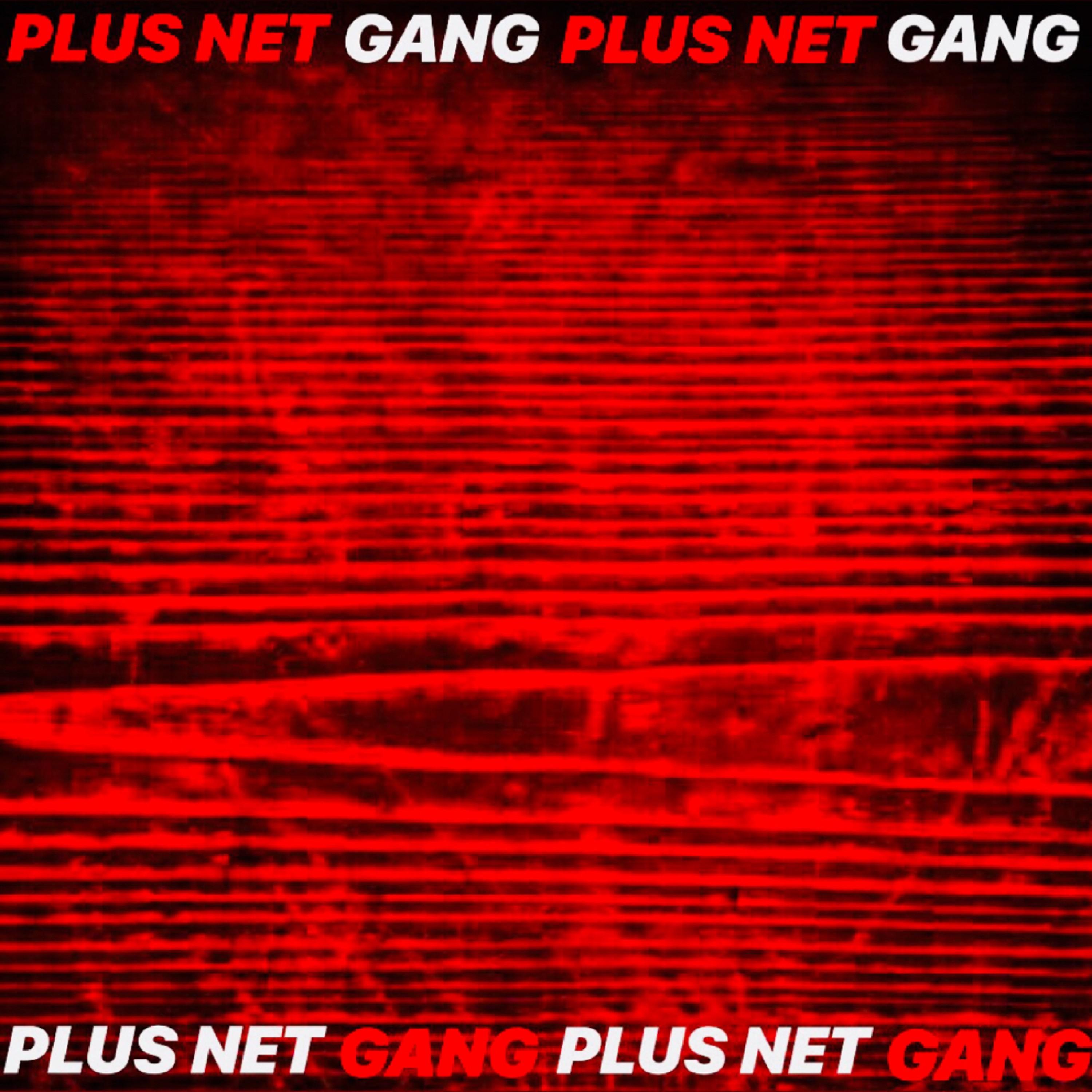 Plus net