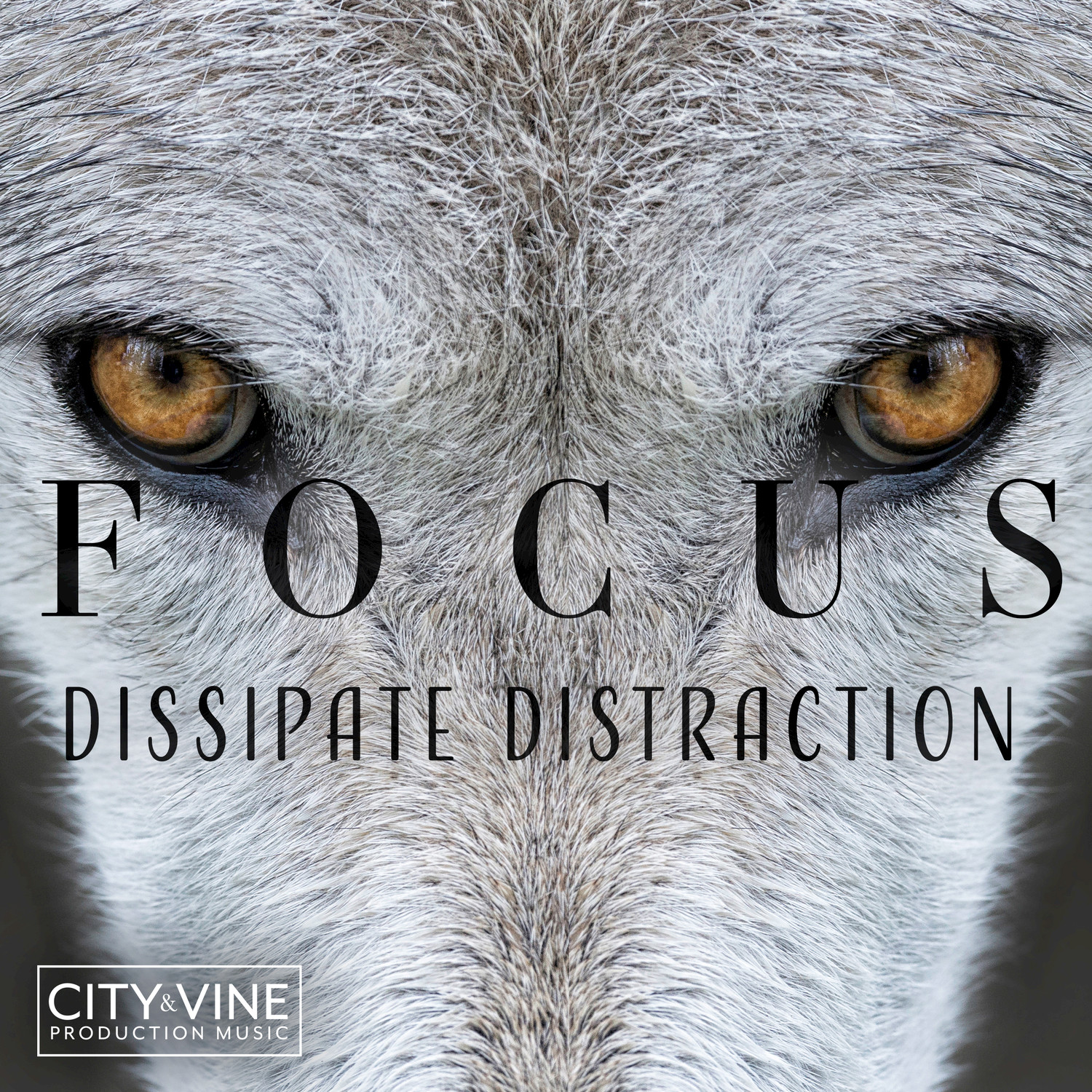 Mother's Old Sewing Machine