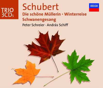 Schubert: Schwanengesang, D. 957  Der Doppelg nger