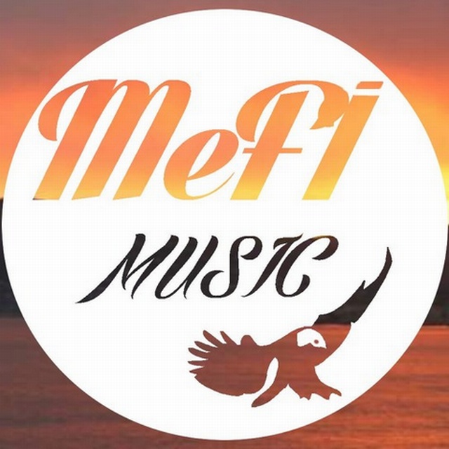 SteveWilkosThrowsChair