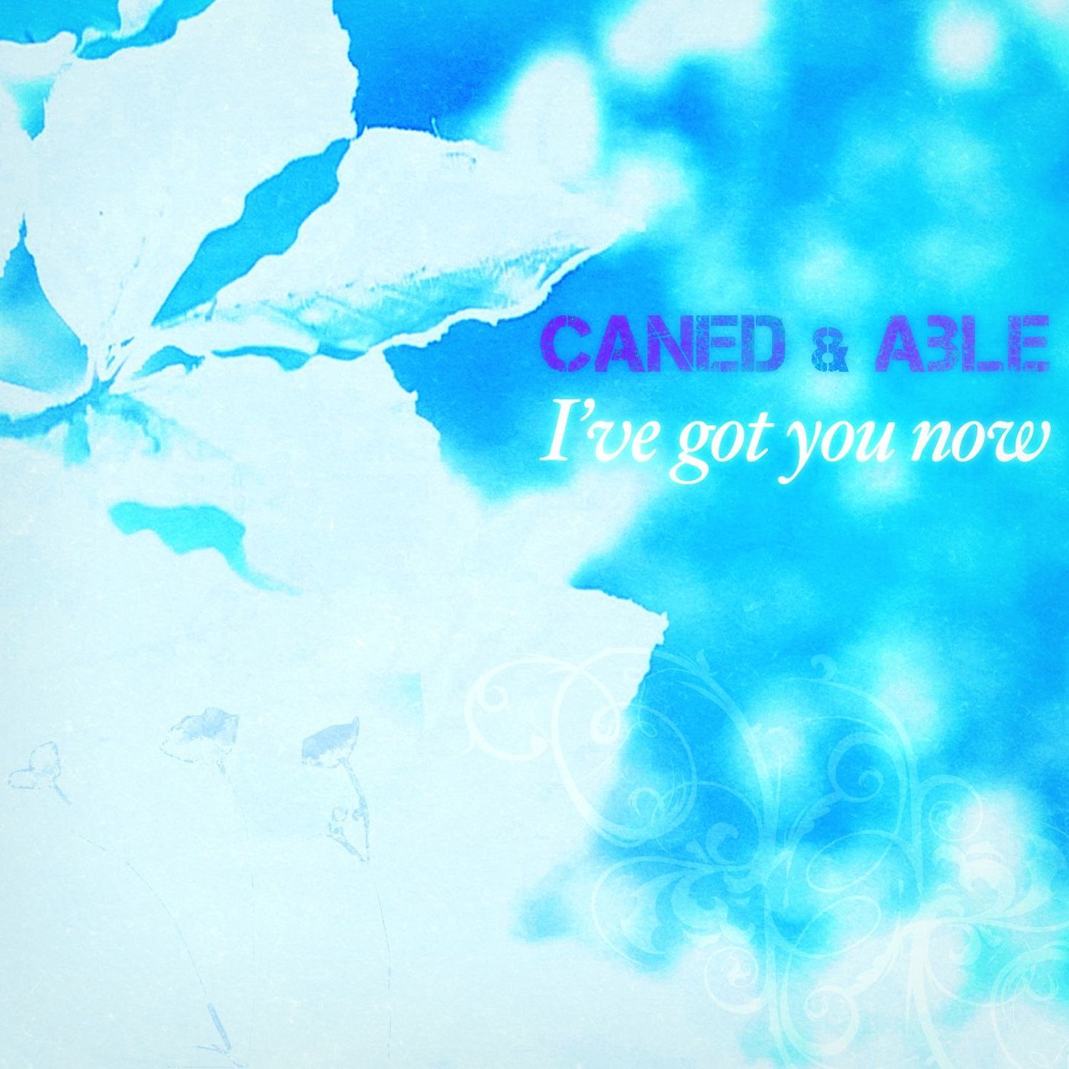 I've Got You Now (Album Version)