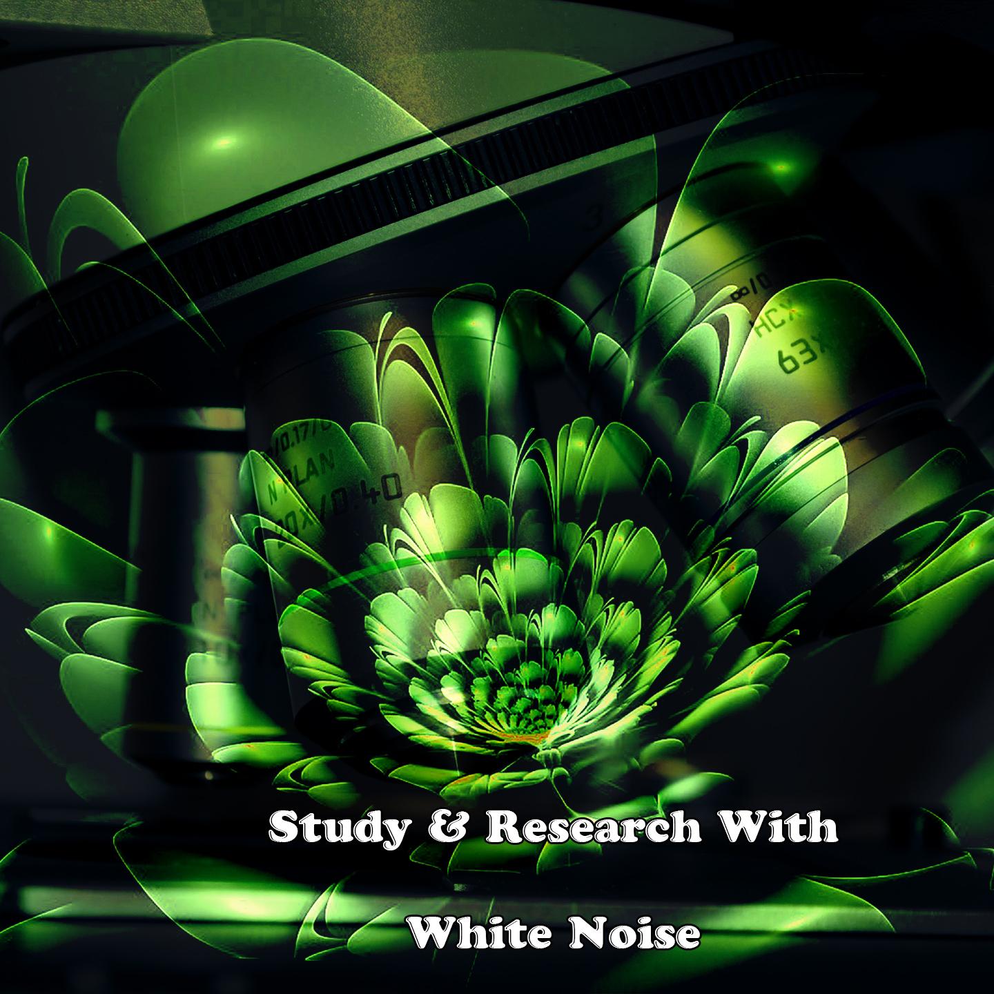Study & Research With White Noise