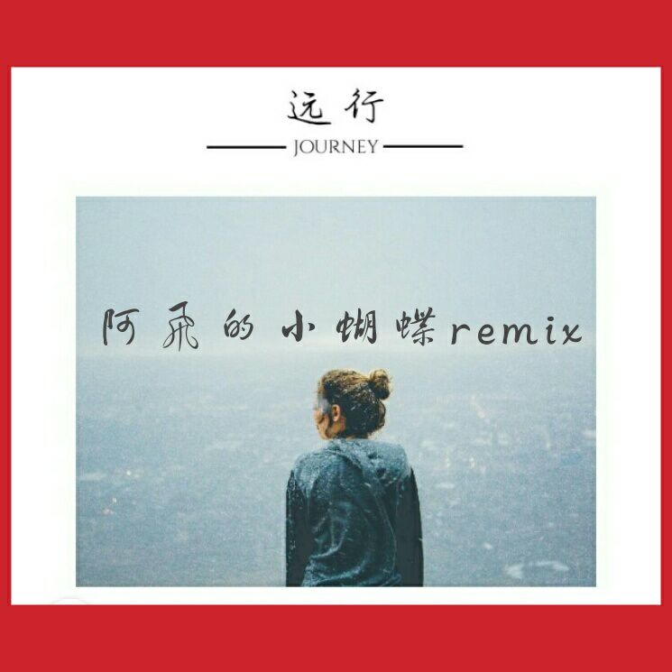 a fei de xiao hu die remix