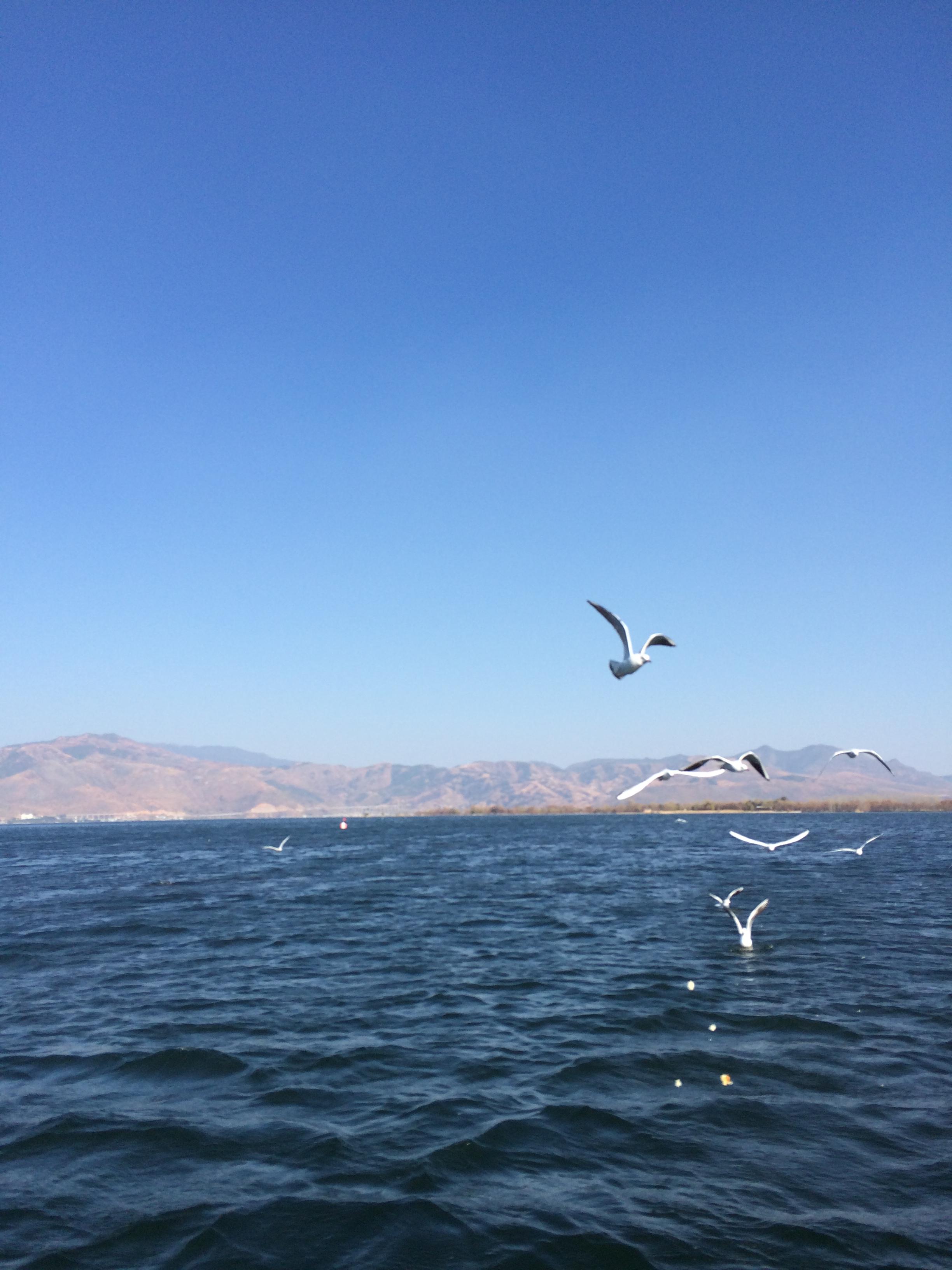 xia fu yu xiang he ta de peng you men