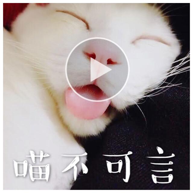 miao Me  you  Remix