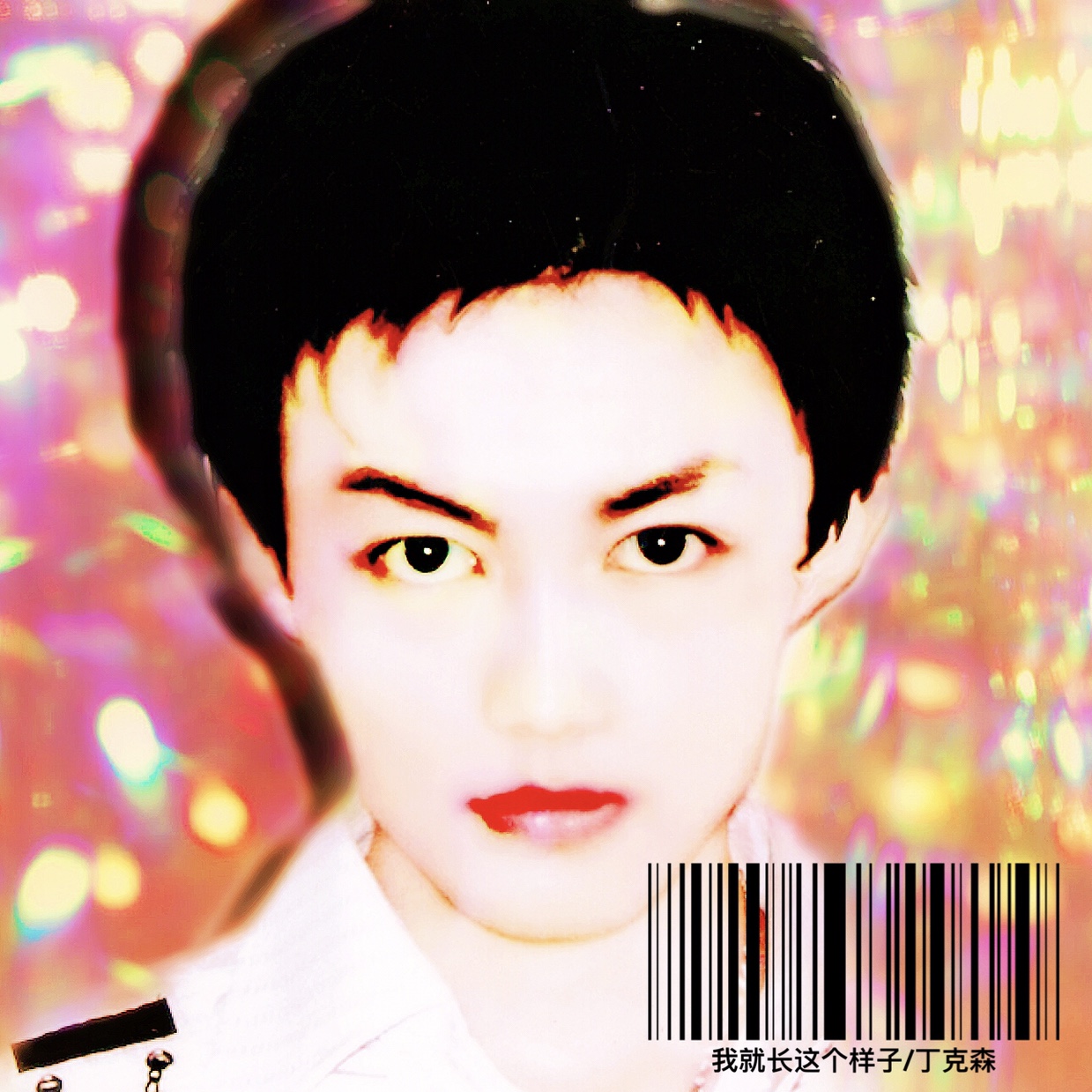 wo jiu zhang zhe ge yang zi