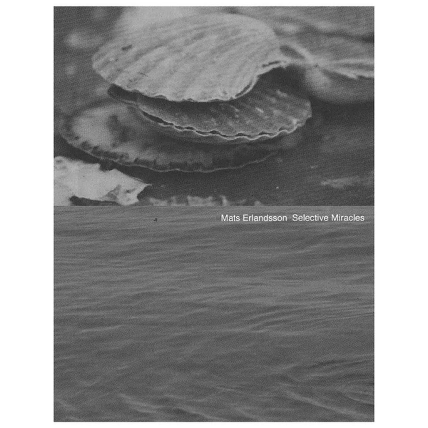 Class and Commodity I