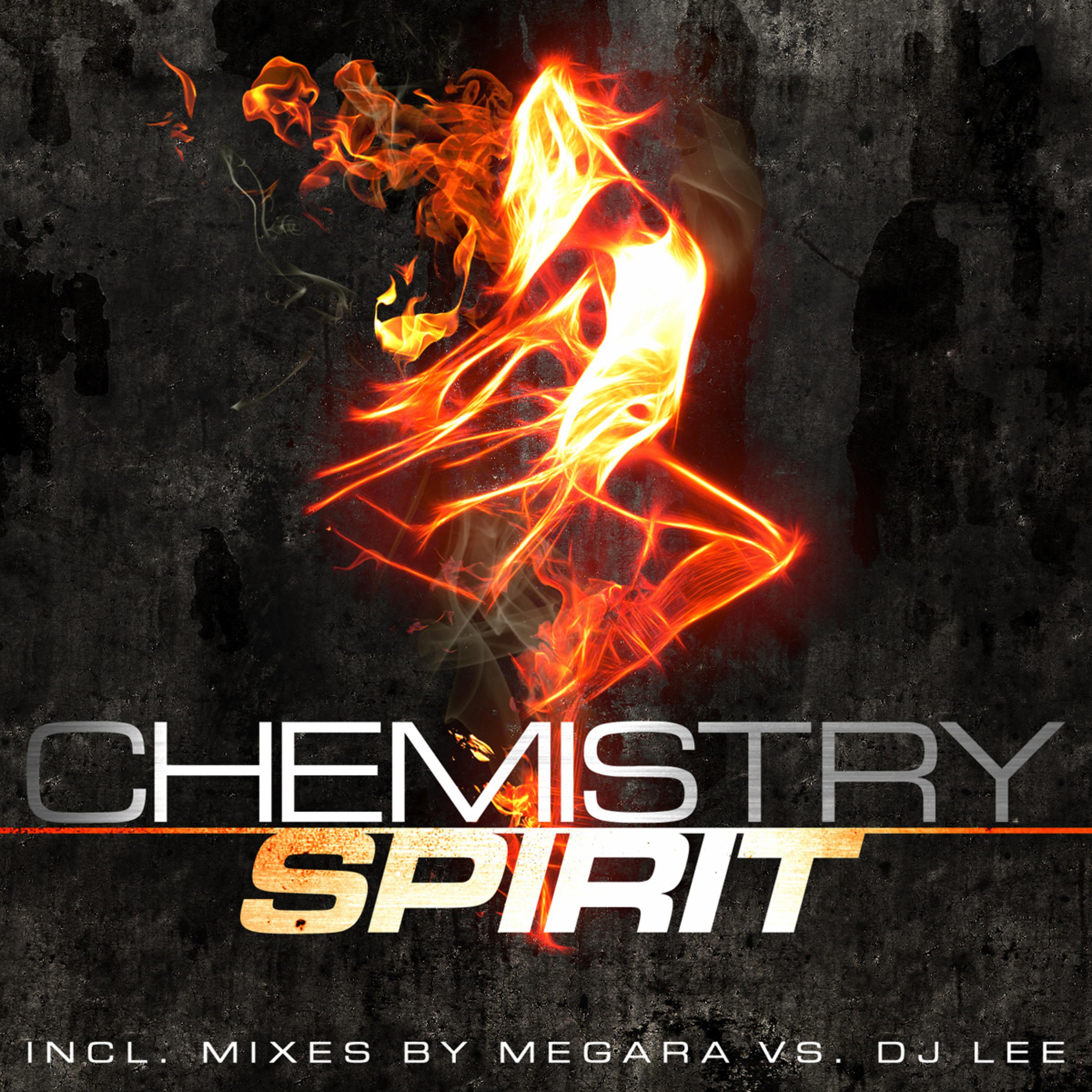Spirit (Megara vs DJ Lee Remix Edit)