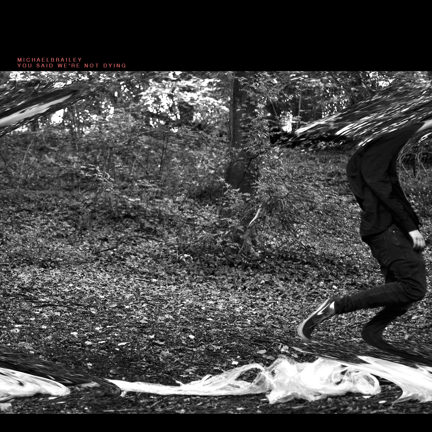 You Said We're Not Dying EP