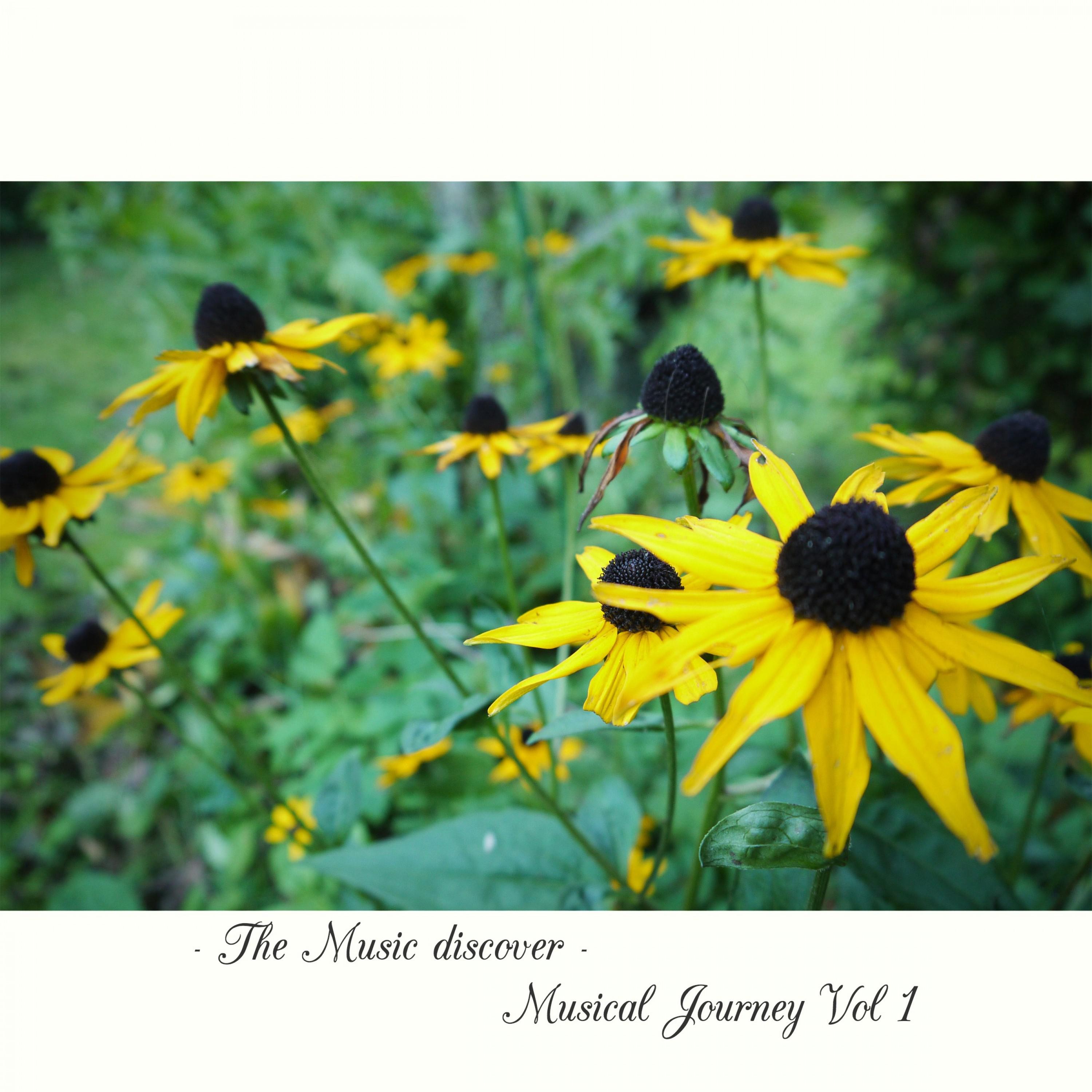 Musical Journey Vol. 1