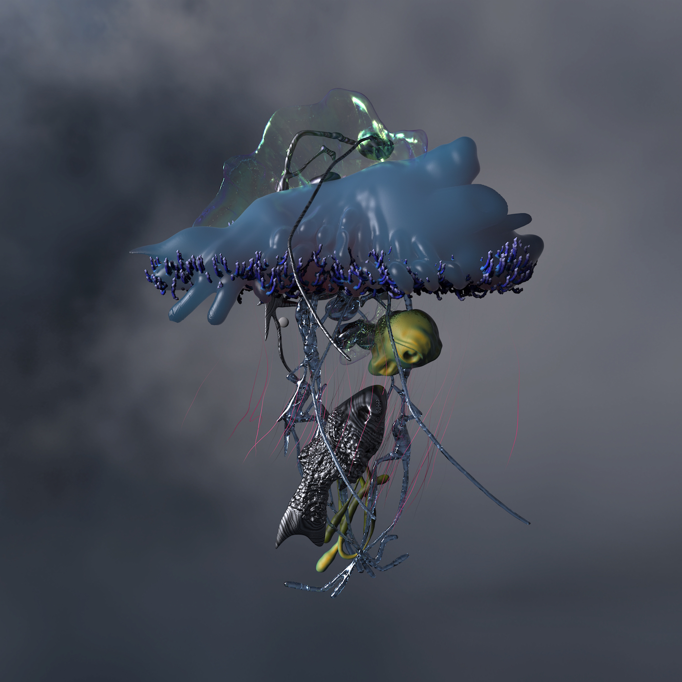 Limpid Fear qing che kong ju