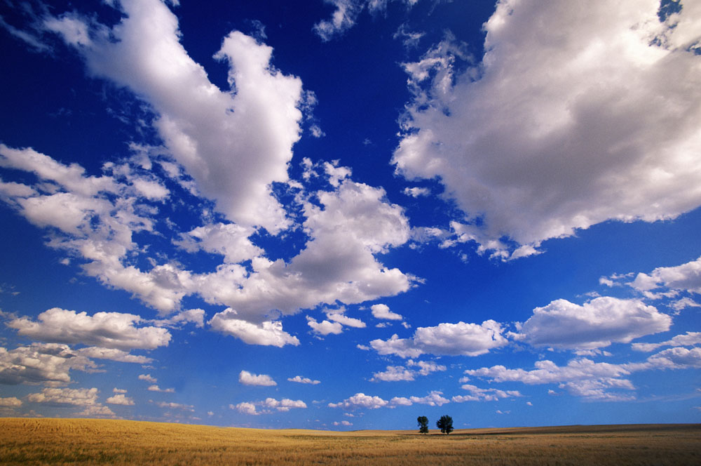 chun gang qin liu xing dang dong ye jian nuan fei le yuan chuang ban