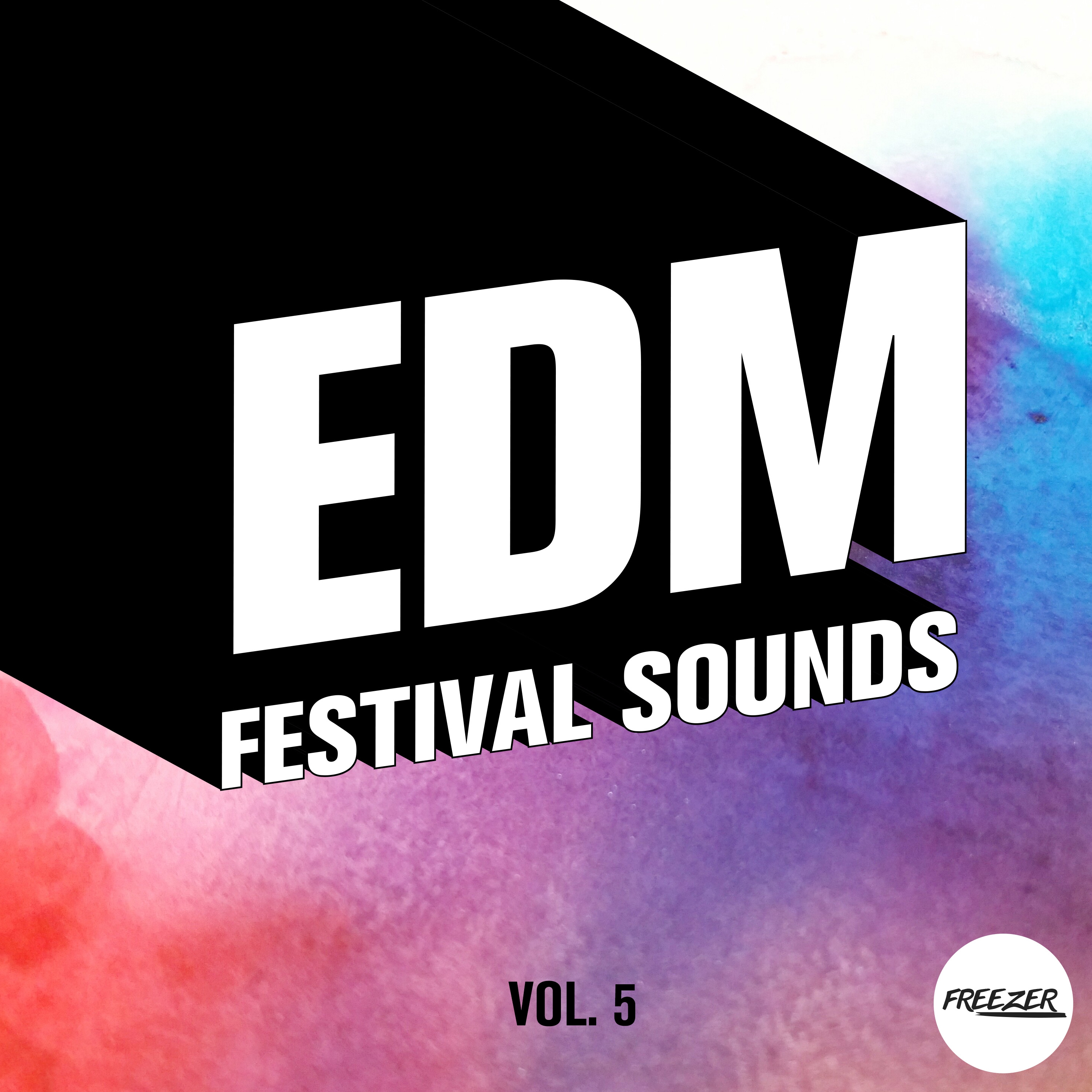 EDM Festival Sounds, Vol. 5