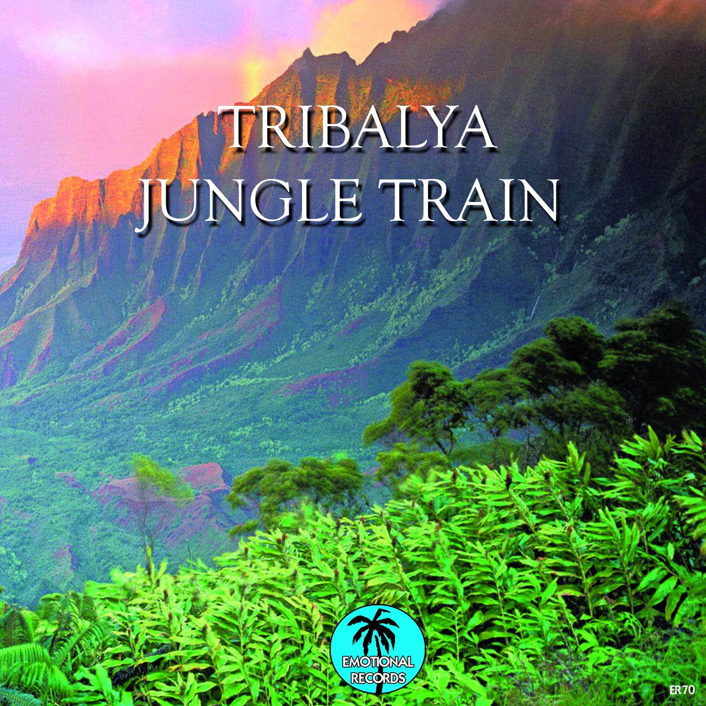 Jungle Train