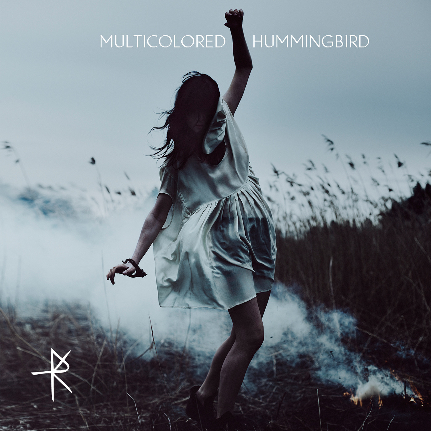 Multicolored Hummingbird - Single