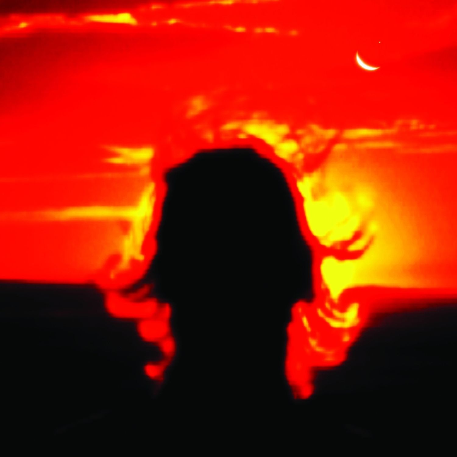 This is the First of Your Last Warning (Icelandic Version)