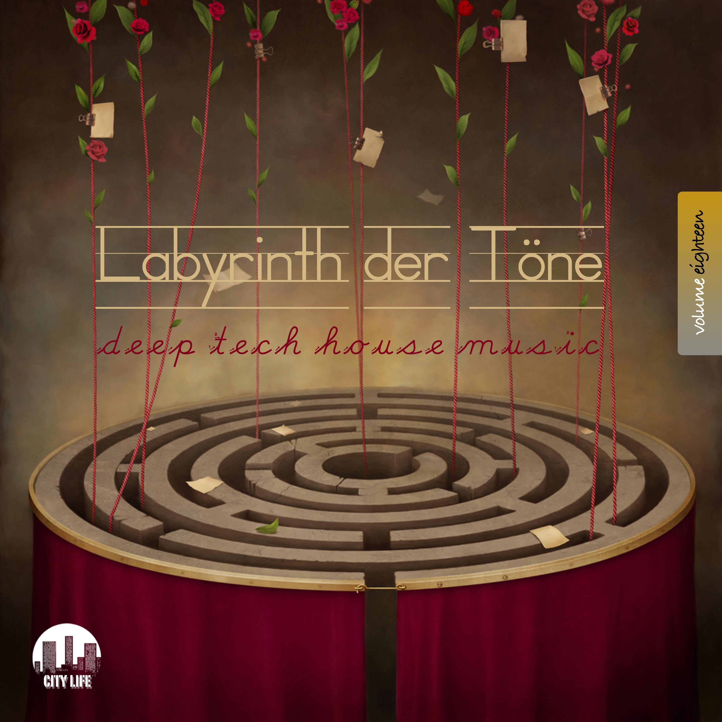 Labyrinth der T ne, Vol. 18  Deep  TechHouse Music
