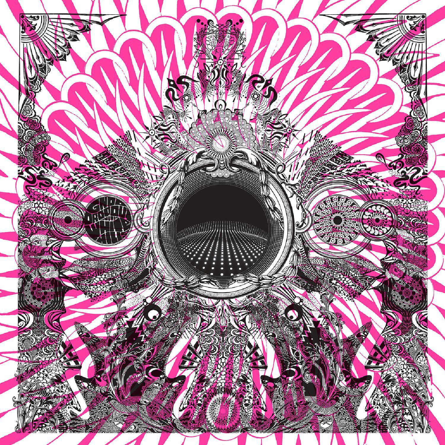 The Secret Society of Ants