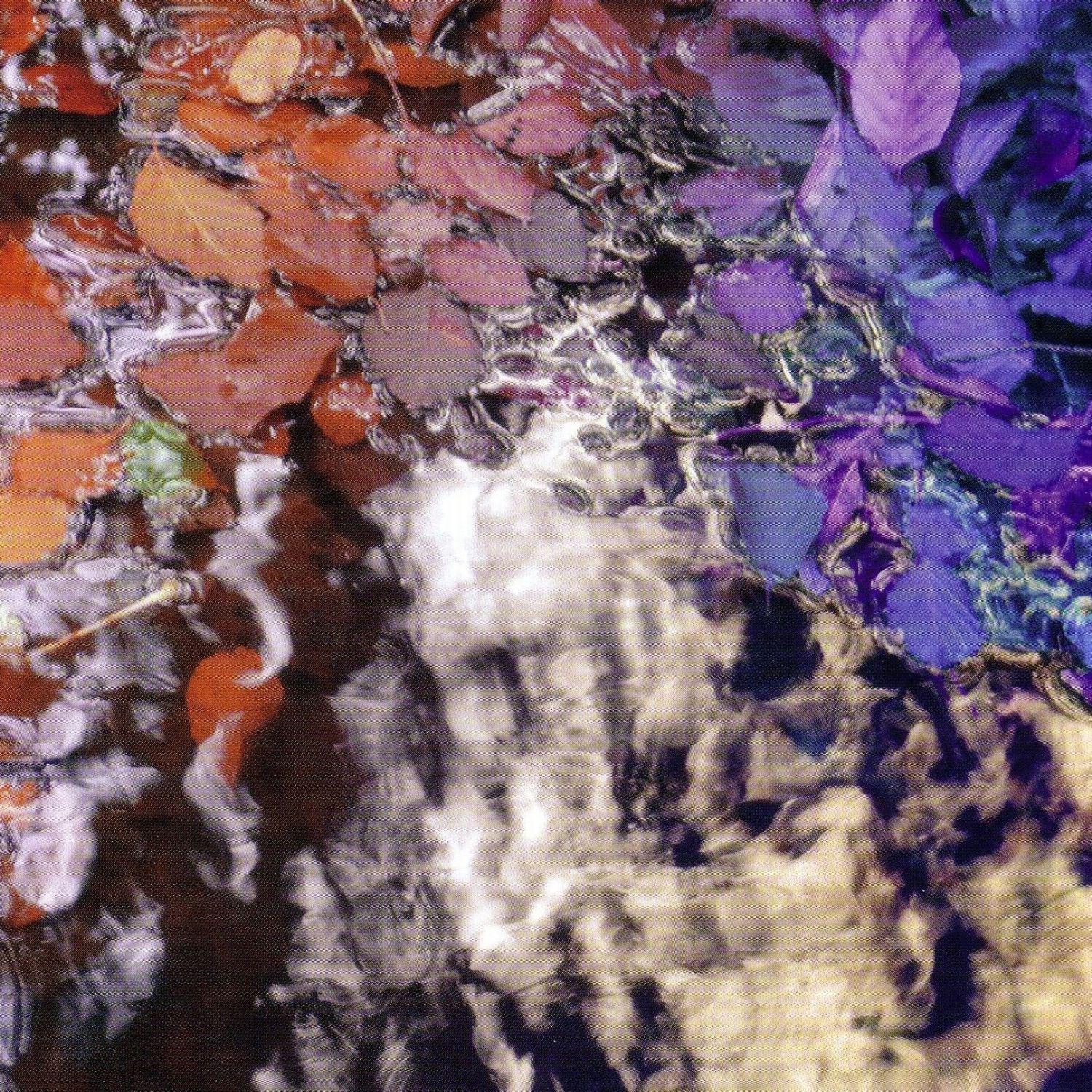 and other fell on good ground