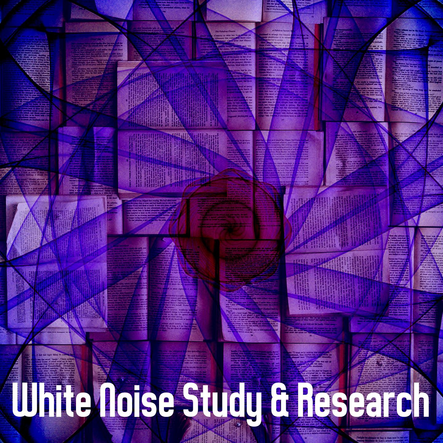 White Noise Study & Research